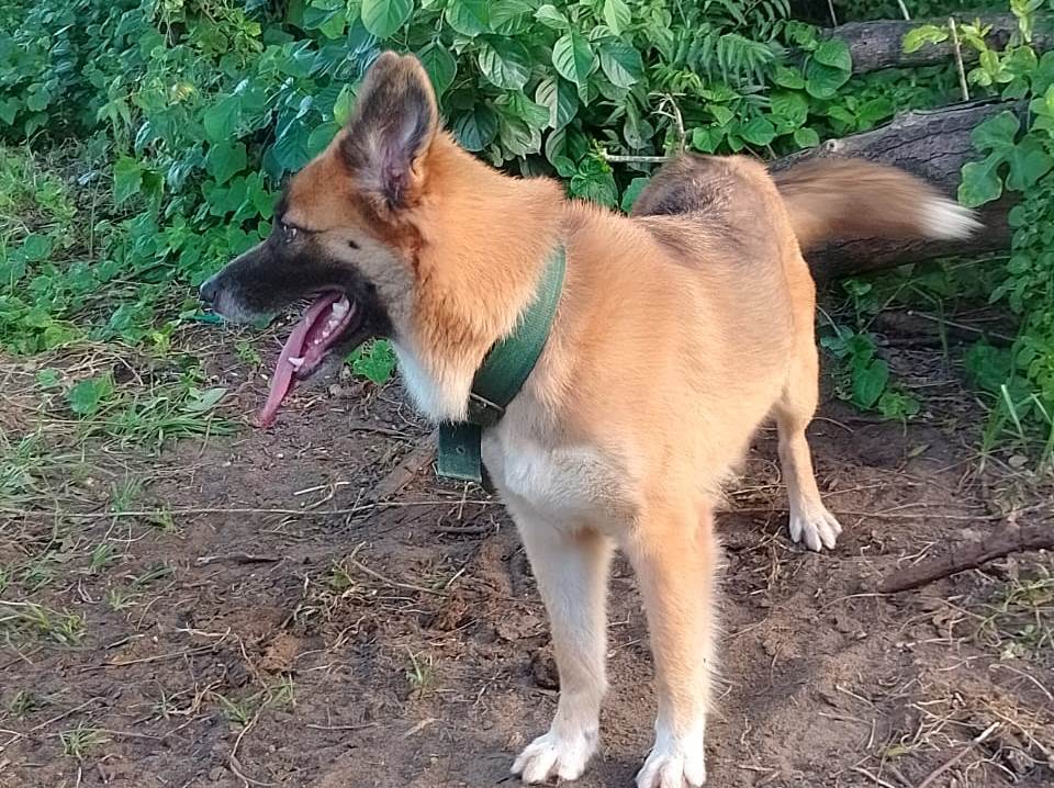 IMG-20230726-WA0002 b